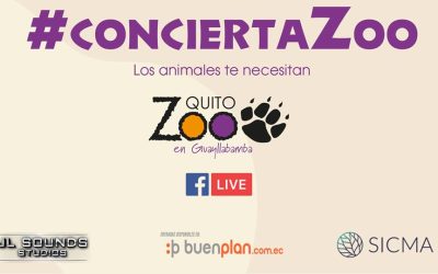 ConciertaZoo para motivar la venta anticipada de entradas