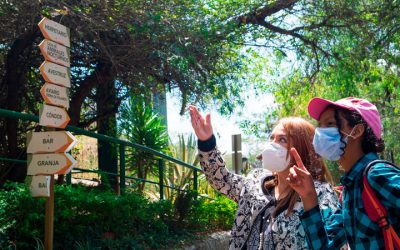 En este verano desarrollamos actividades para reconectarse con la naturaleza