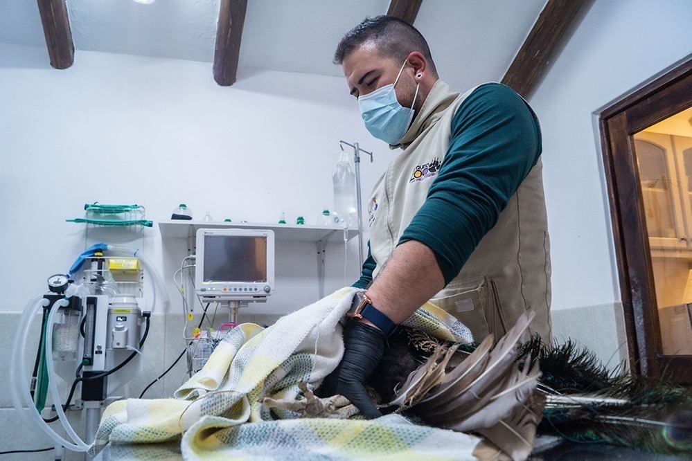veterinario del Zoo de Quito