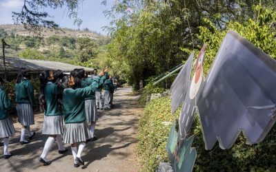 Más de 2 mil estudiantes visitarán el Zoológico de Quito gratis