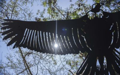 En 2022 se afianzó la misión del QuitoZoo