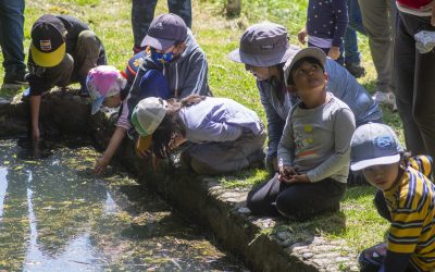 El QuitoZoo impulsa una edición más de Home River Bioblitz