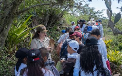 Waylla despertó mayor conciencia ambiental en la comunidad de Guayllabamba