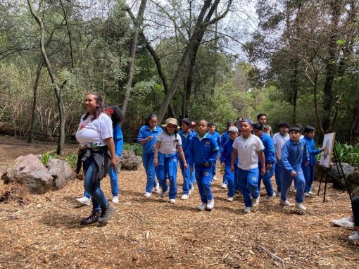 foto-escuelas
