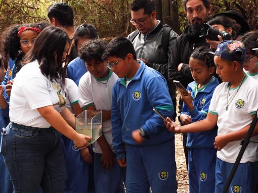 ranas 14