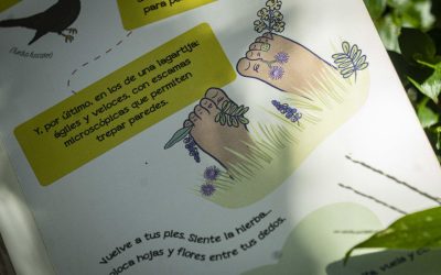 El QuitoZoo creó guías para conectar a la gente con parques de la ciudad