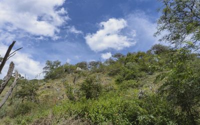 “Un hábitat para Sisa” comenzó a tomar forma