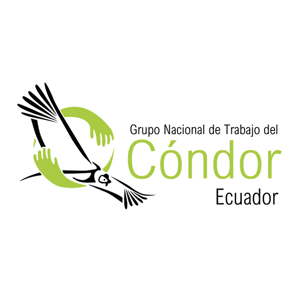 Grupo Nacional Condor